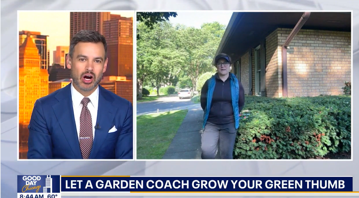 Amy Powers Fox32 Good Morning Chicago