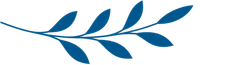 Illustration of a stylized blue leaf with multiple leaflets.